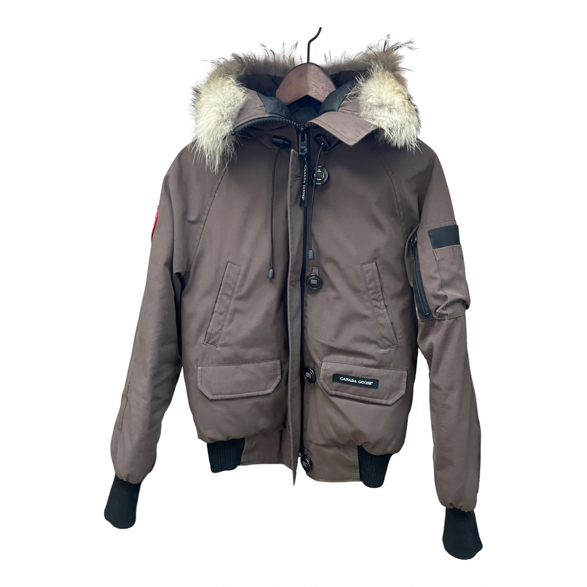 Chilliwack puffer Canada Goose Brown 