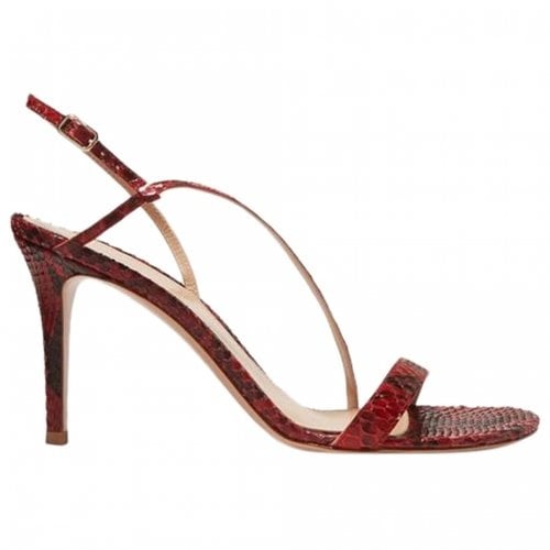 Pre-owned Gianvito Rossi Python Sandals In Pink