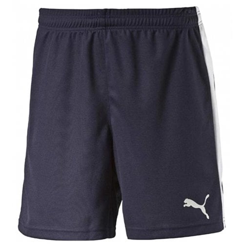 Pre-owned Puma Shorts In Blue