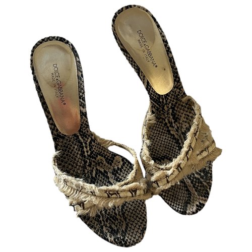 Pre-owned Dolce & Gabbana Python Mules In Beige