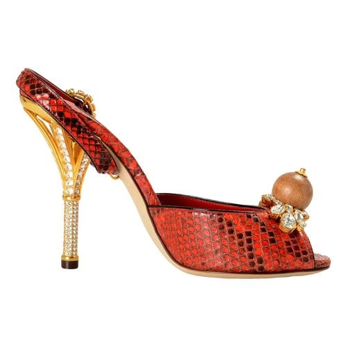 Pre-owned Dolce & Gabbana Python Mules In Multicolour