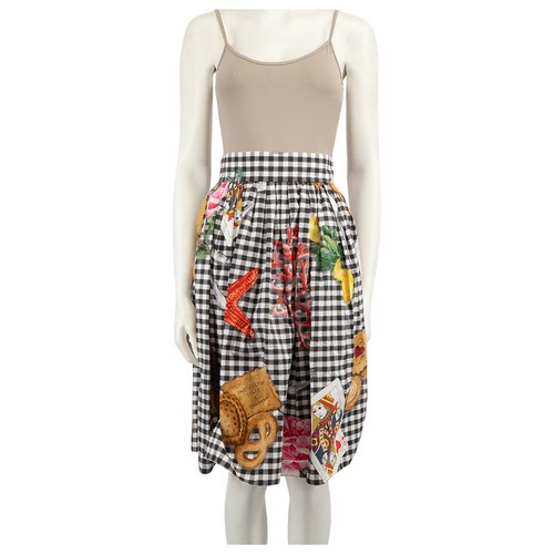 Pre-owned Dolce & Gabbana Skirt In Multicolour
