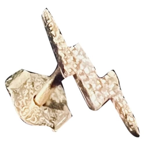 Pre-owned Anine Bing Yellow Gold Earrings