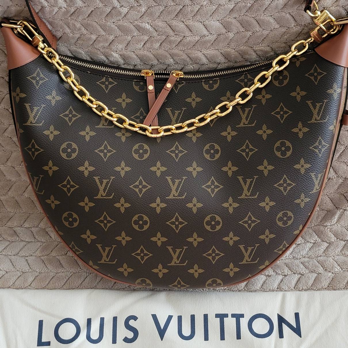 Louis Vuitton - Authenticated Croissant Handbag - Cloth Brown for Women, Never Worn