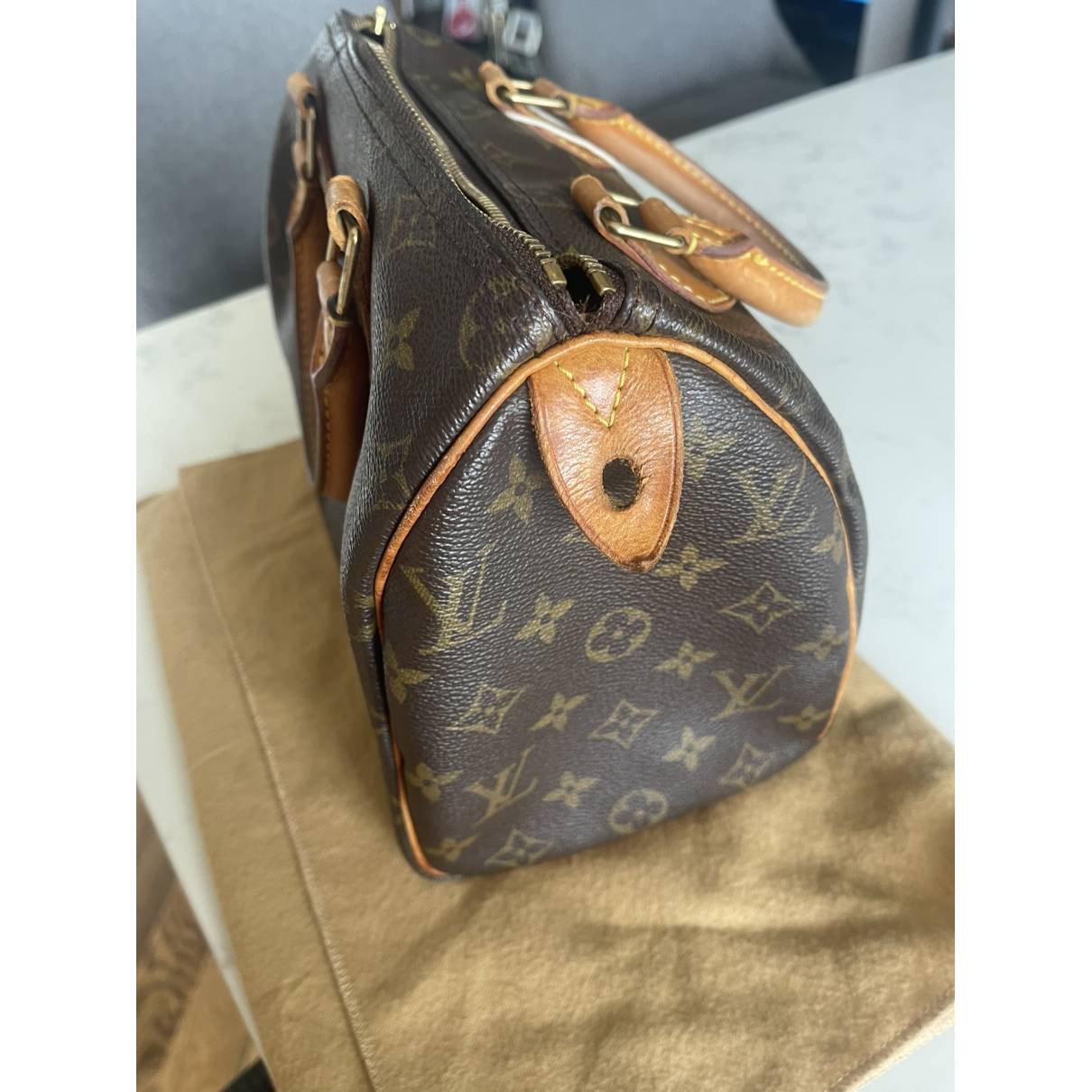 Speedy cloth handbag Louis Vuitton Brown in Cloth - 36252123