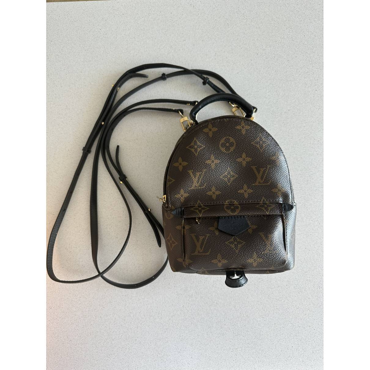 Palm springs backpack Louis Vuitton Brown in Cotton - 34428001