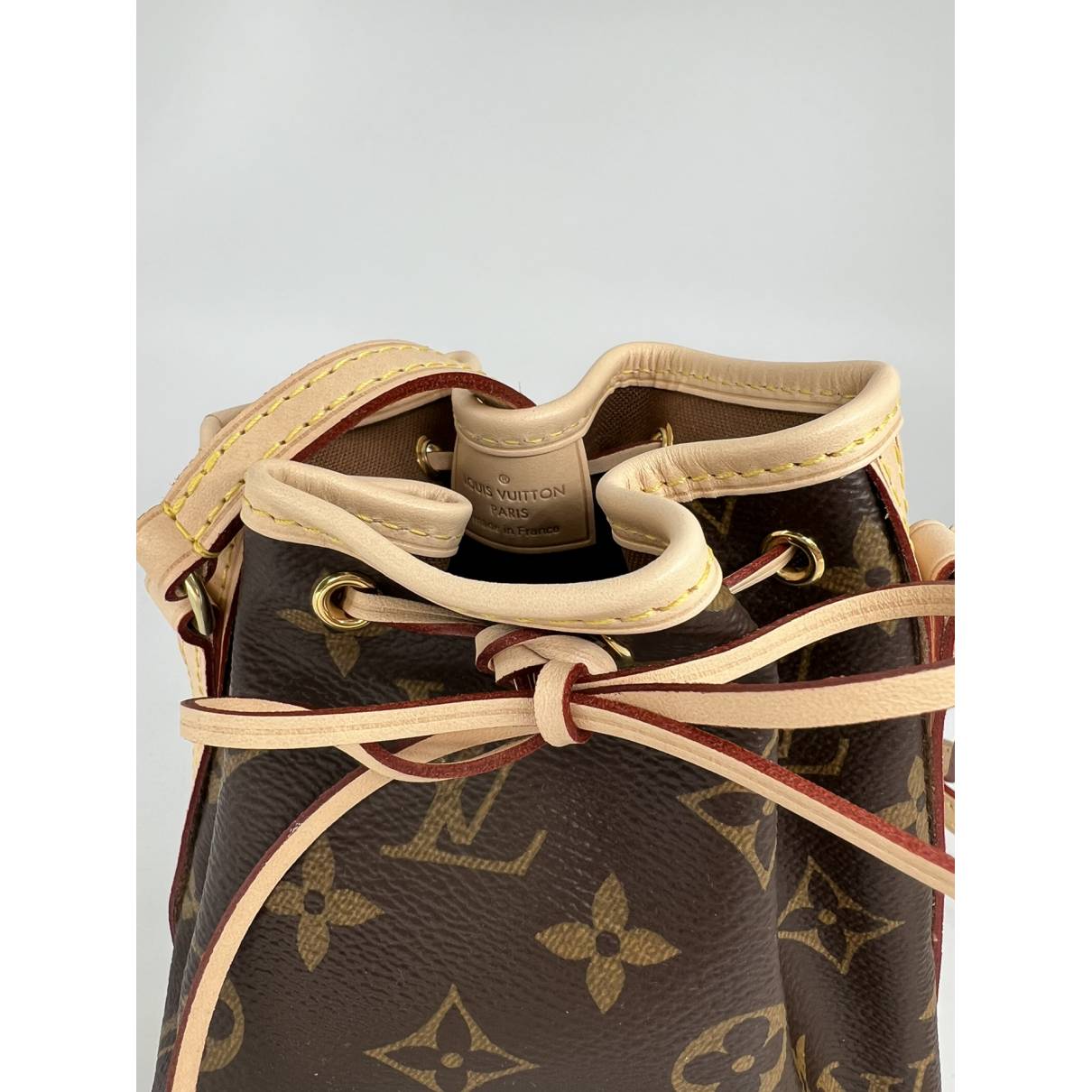 Louis Vuitton, Bags, Louis Vuitton Lv Monogram Nano Noe Mini Bucket  Crossbody Bag