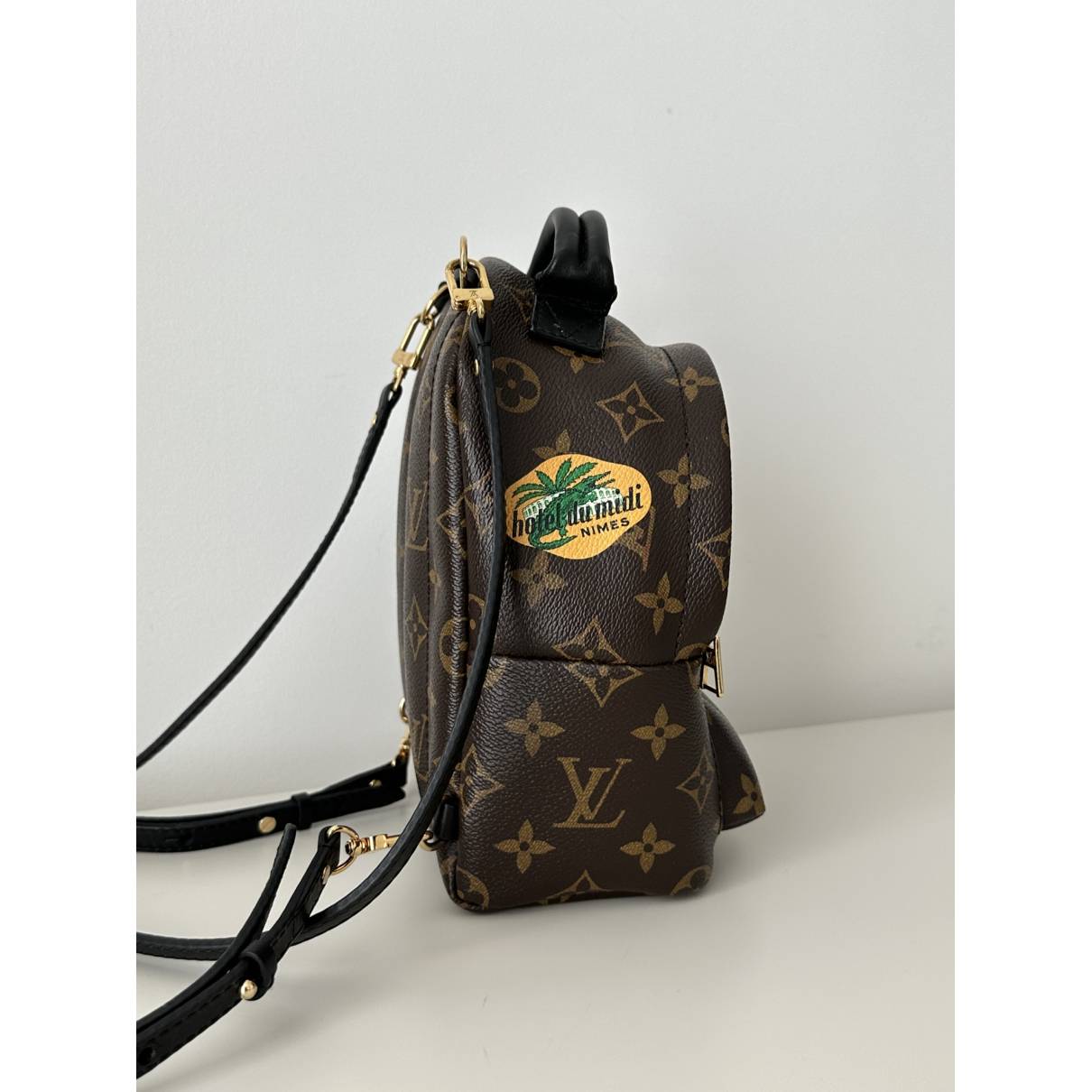 Louis Vuitton Palm Springs Backpack Shoulder bag 330389