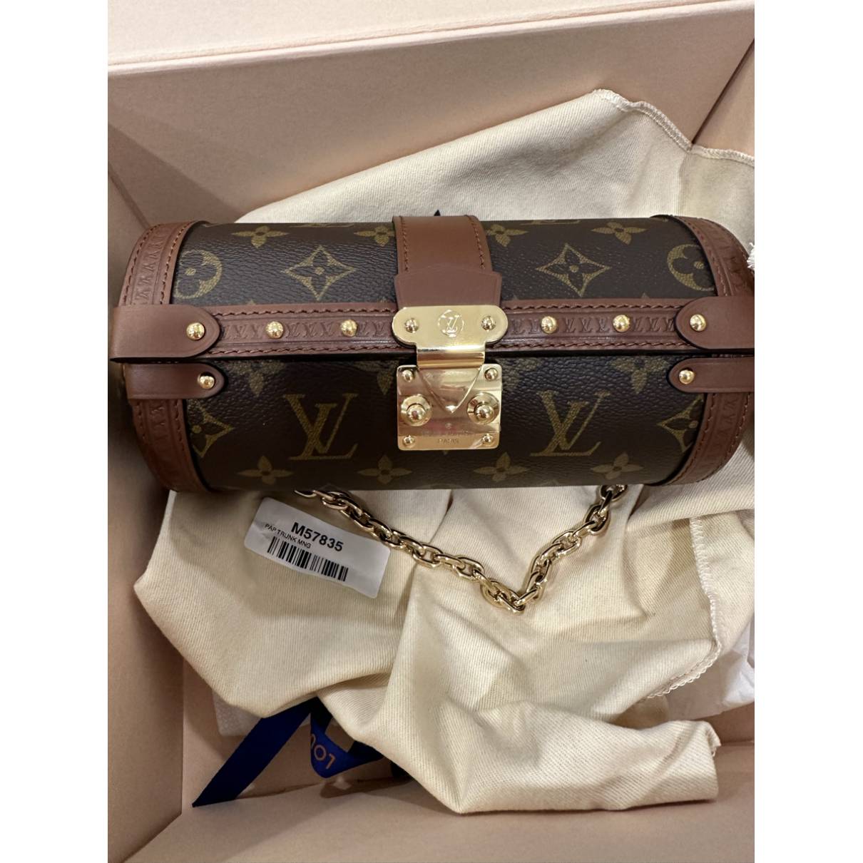 Louis Vuitton Papillon Trunk Handbag
