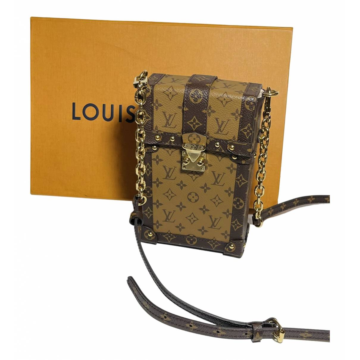Louis Vuitton Vertical Trunk Pochette Bag in 2023