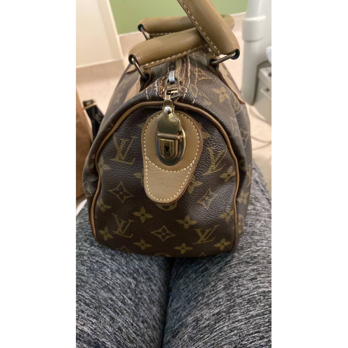 Louis Vuitton Speedy Handbag
