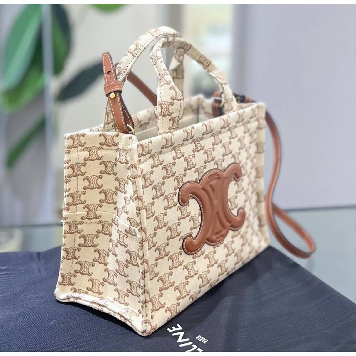 Thais cloth handbag Celine Multicolour in Cloth - 32606472