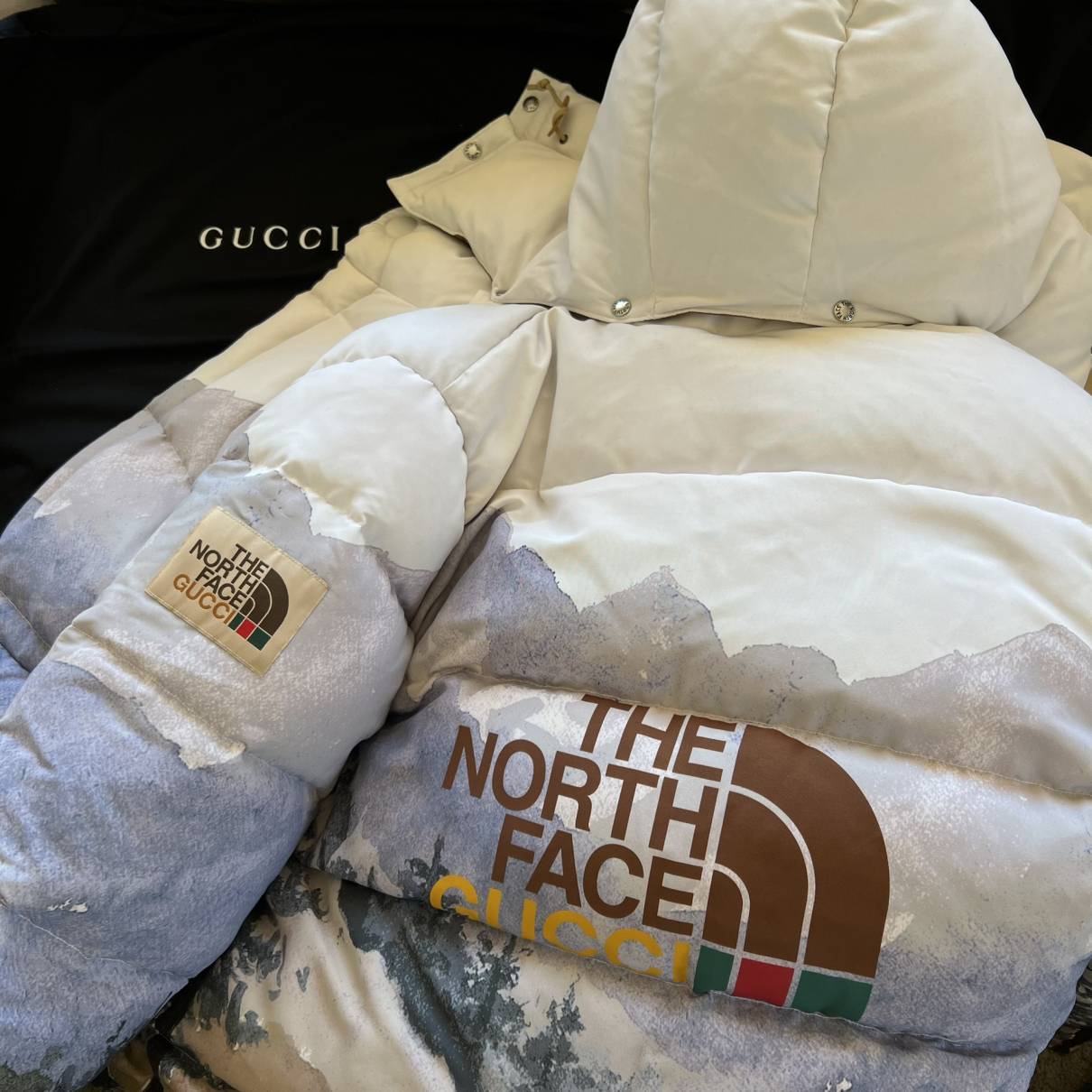 Coat The North Face x Gucci
