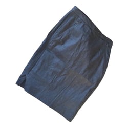 Blue Mid-length Skirt