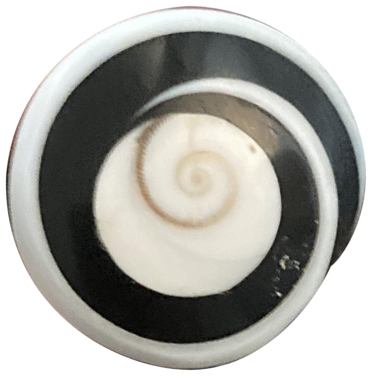 Motifs Coquillages ring
