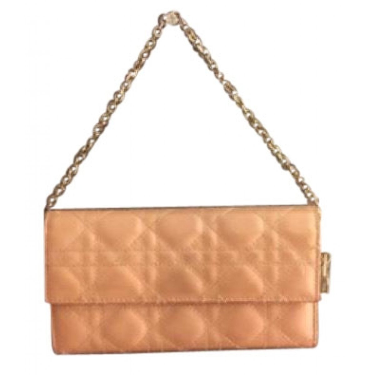 Lady Dior Wallet On Chain crossbody bag