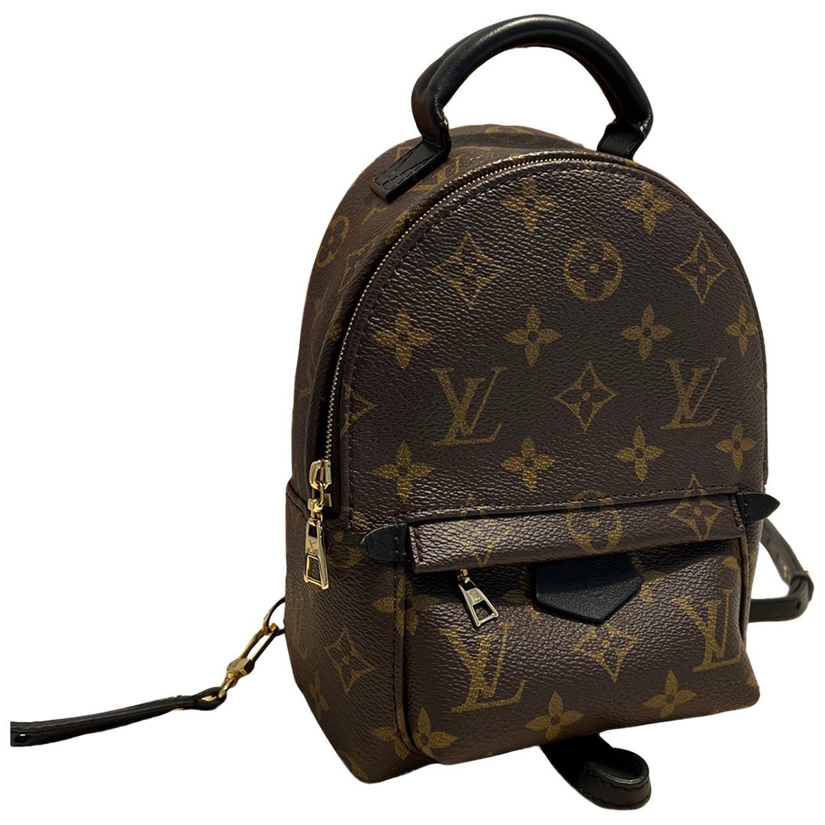 Palm Springs backpack