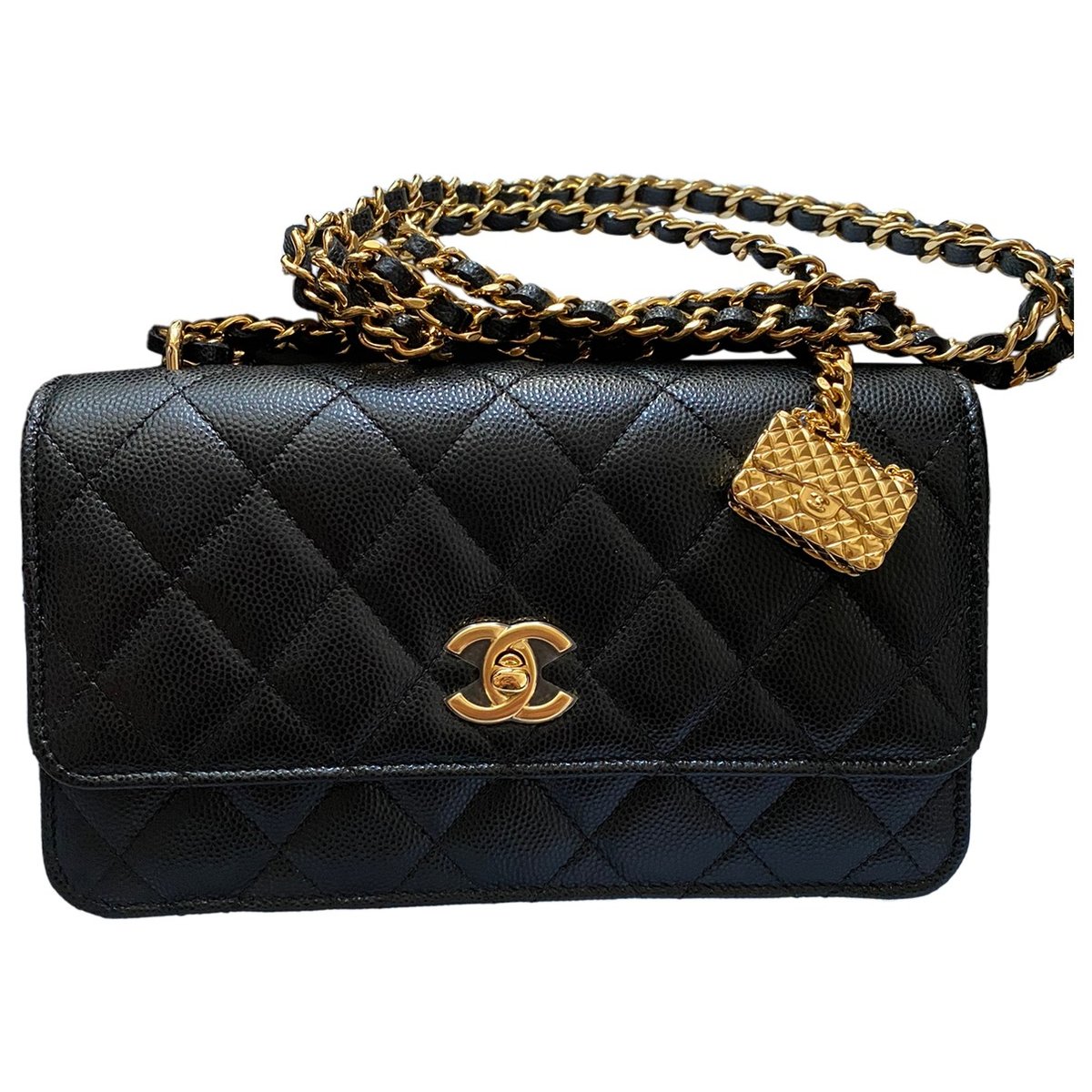 Wallet on Chain leather handbag
