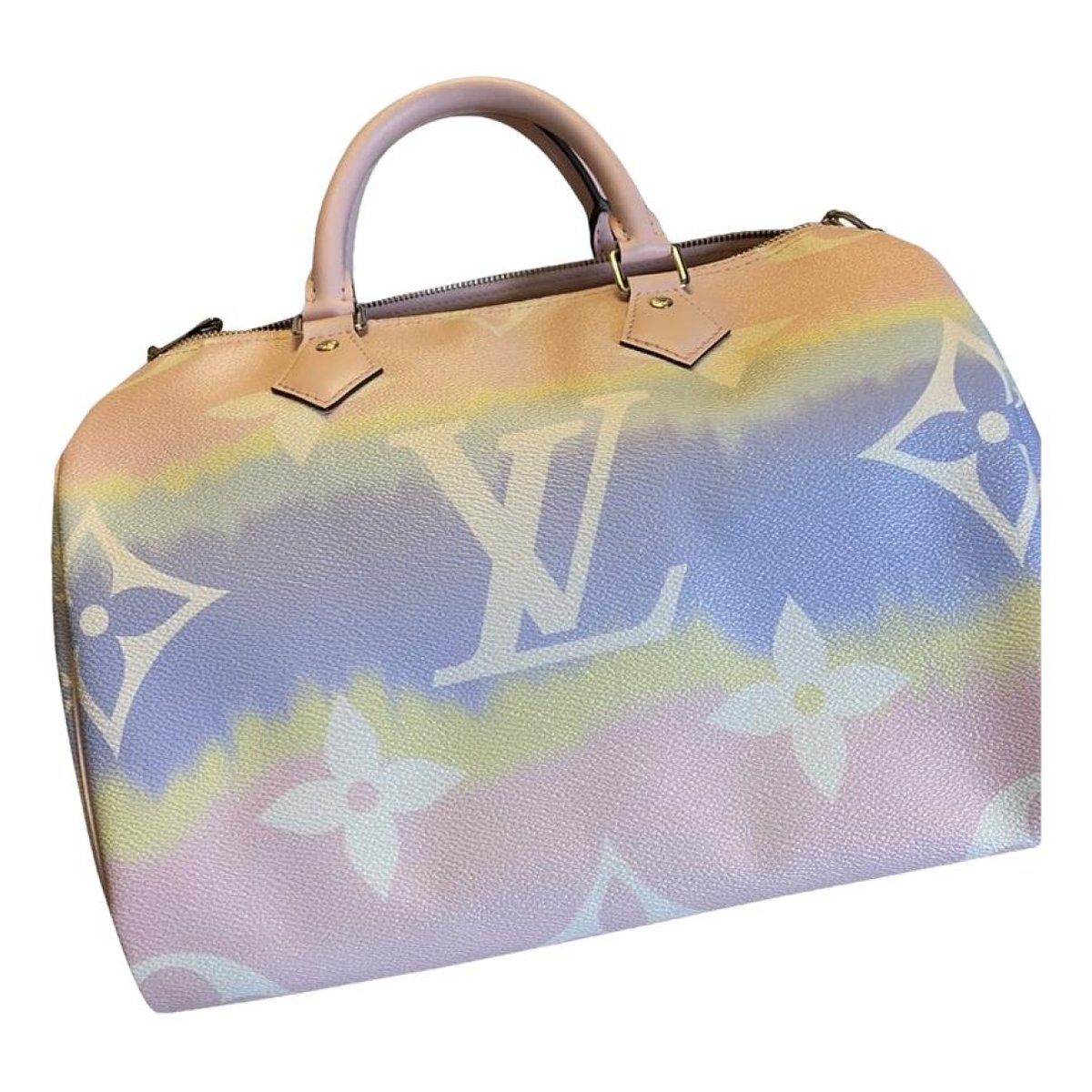 Speedy cloth handbag