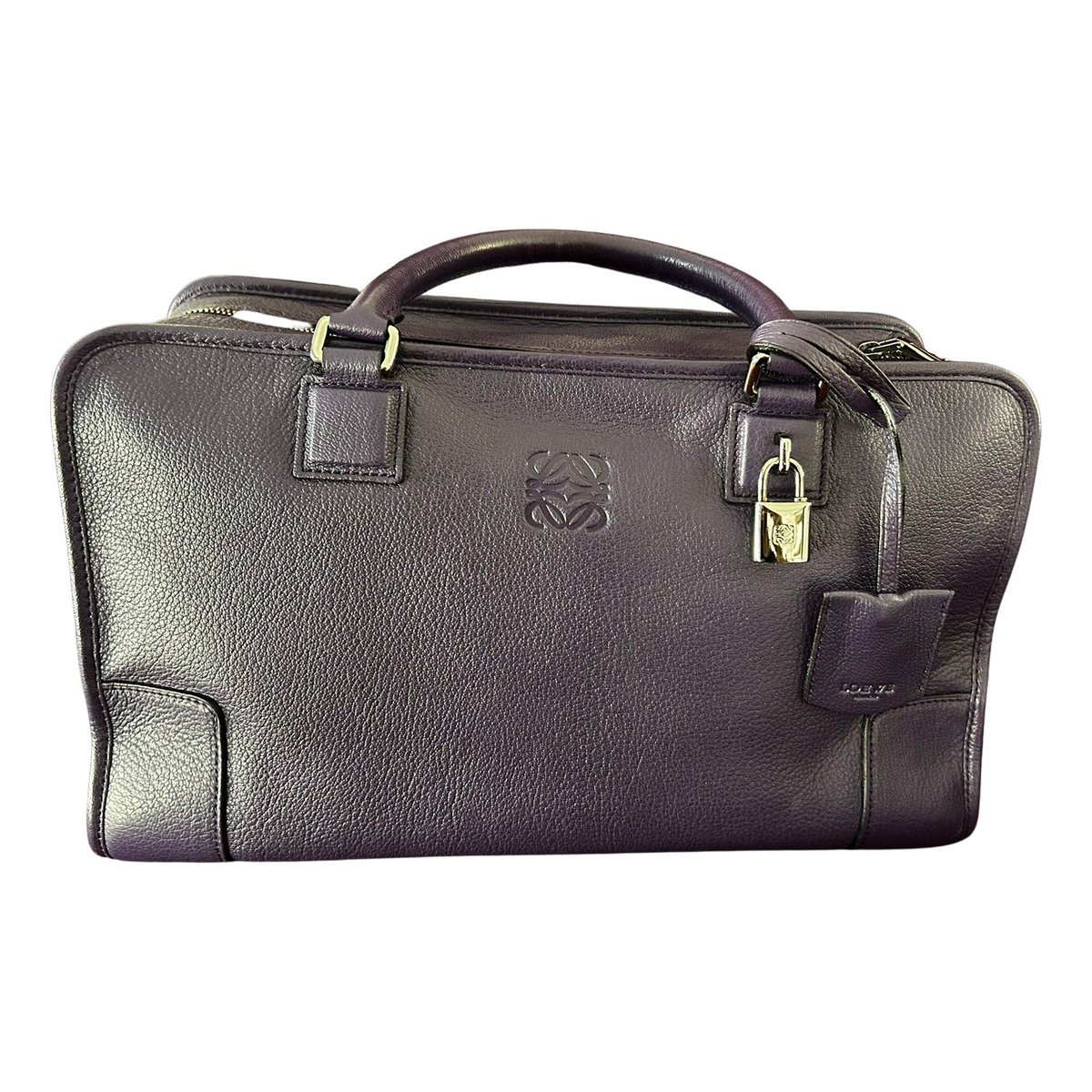 Amazona leather handbag