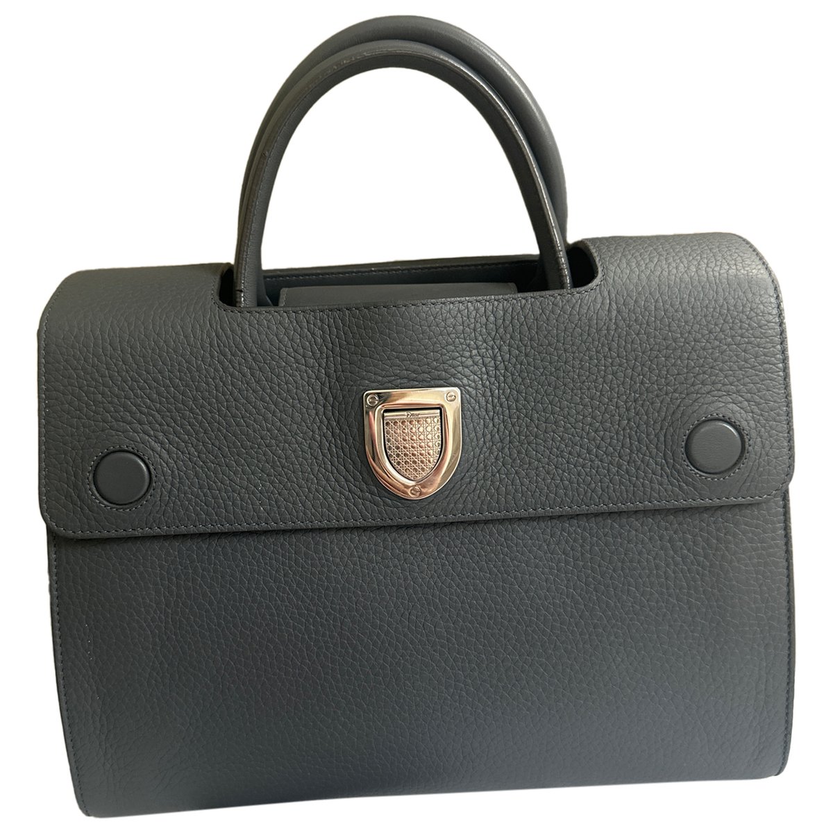 Diorever leather handbag