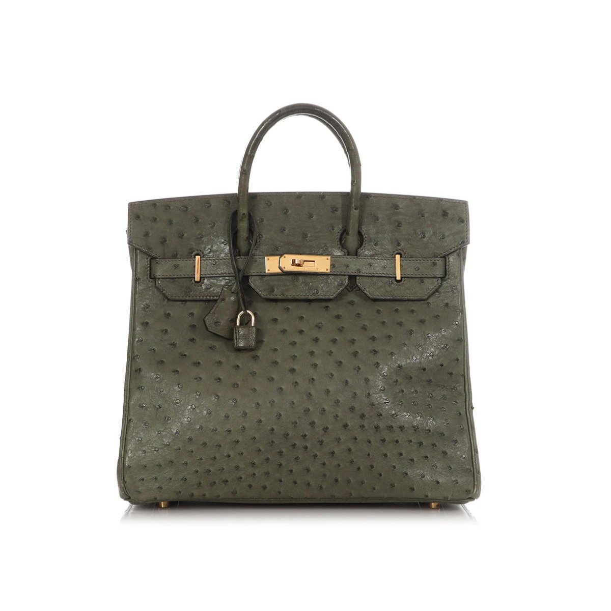 Haut à Courroies exotic leathers satchel