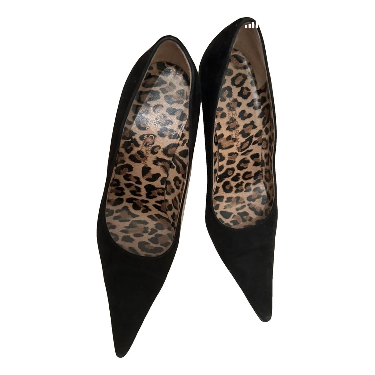 DG Amore velvet heels