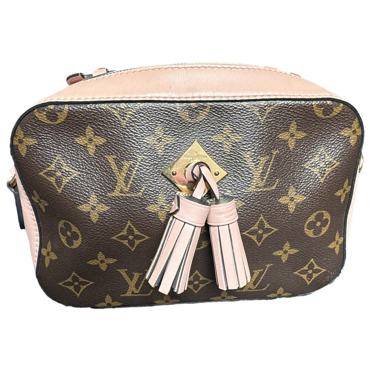 Saintonge leather crossbody bag