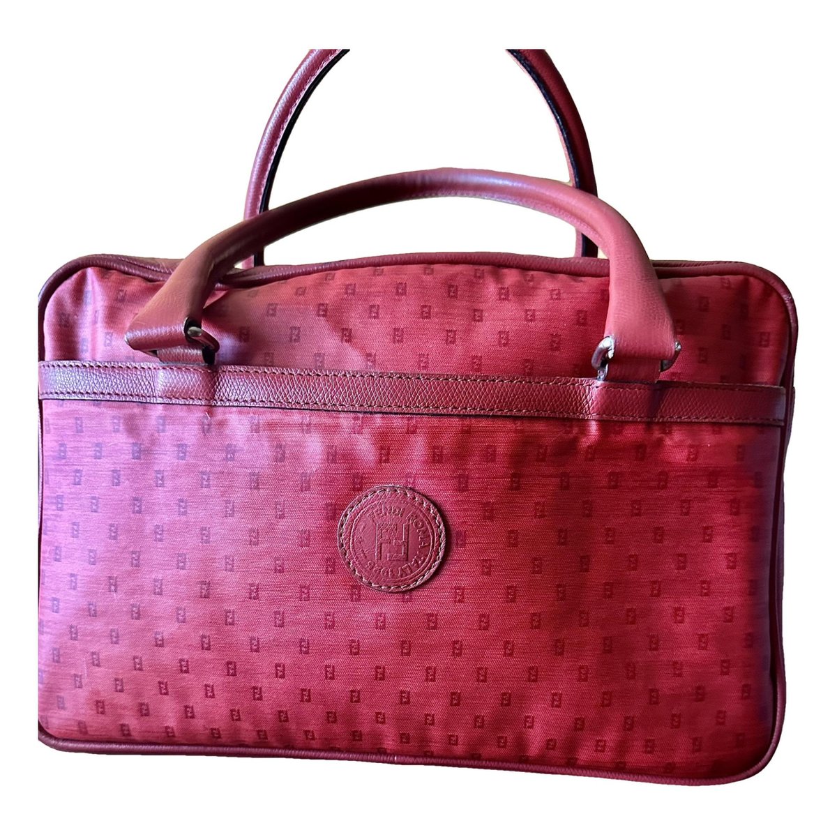 Chameleon leather handbag