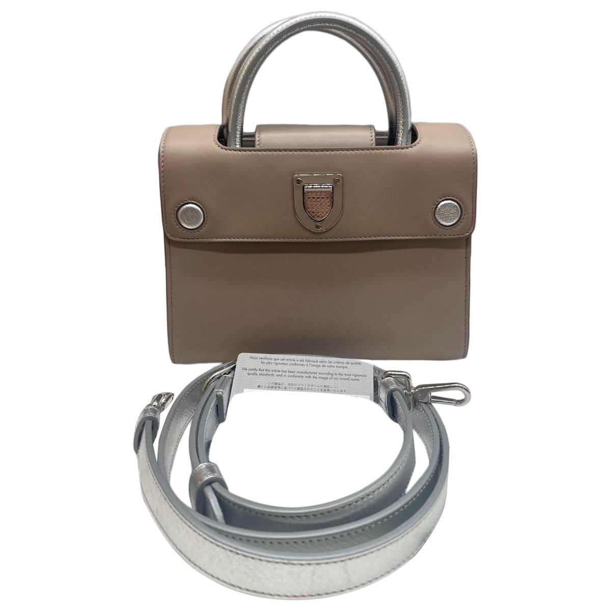 Diorever leather handbag