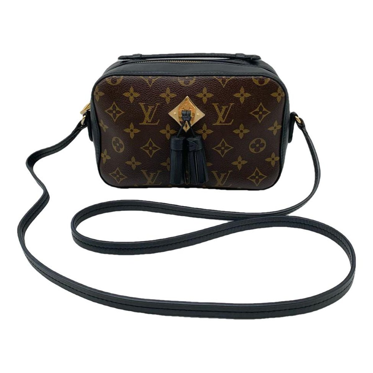 Saintonge leather crossbody bag