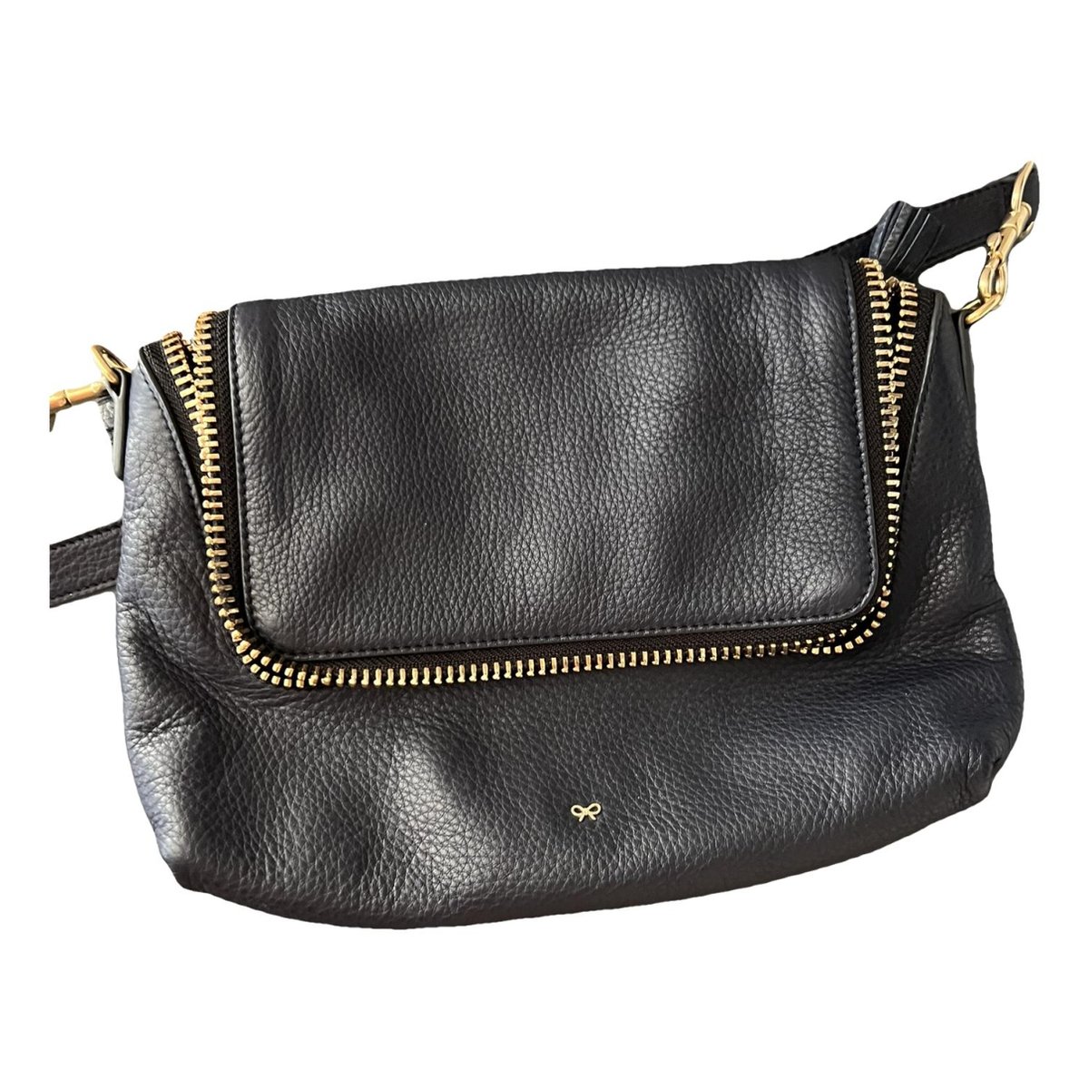 Maxi Zip leather crossbody bag