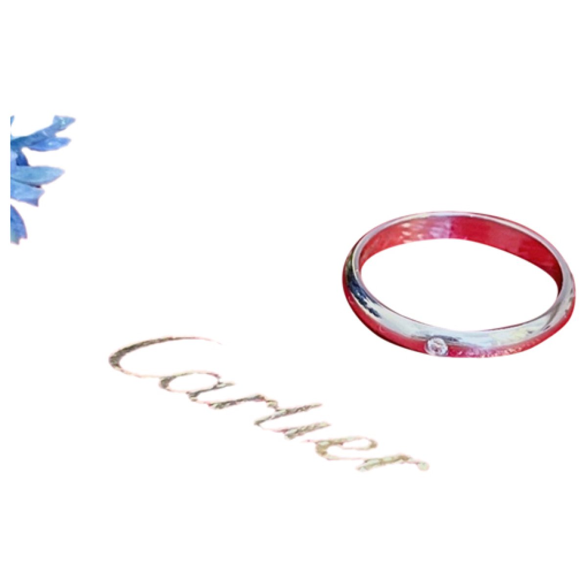 1895 platinum ring