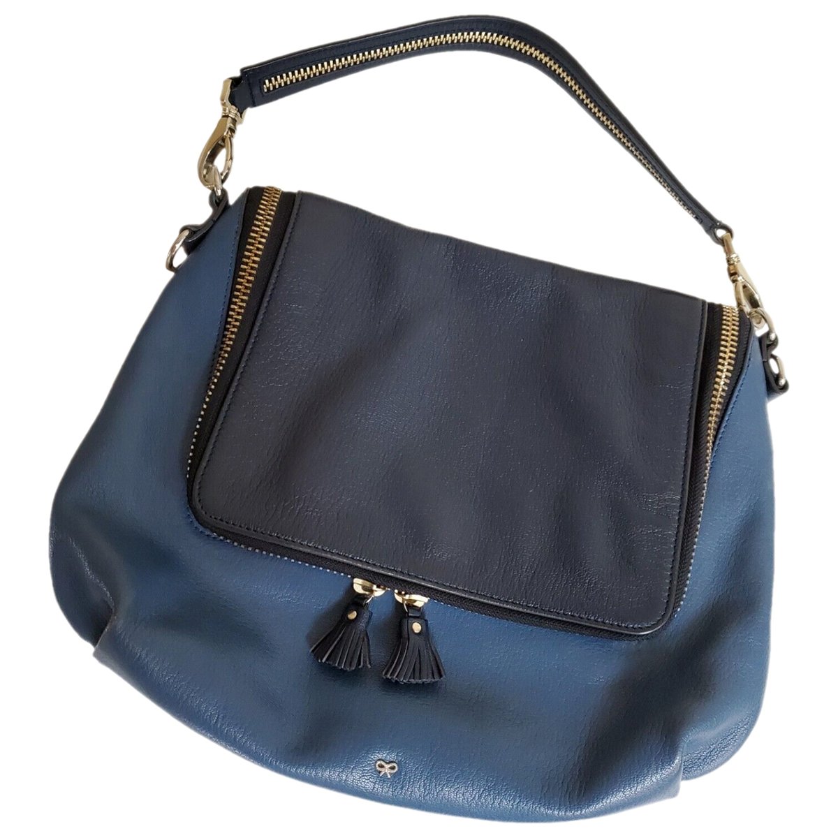 Maxi Zip leather crossbody bag
