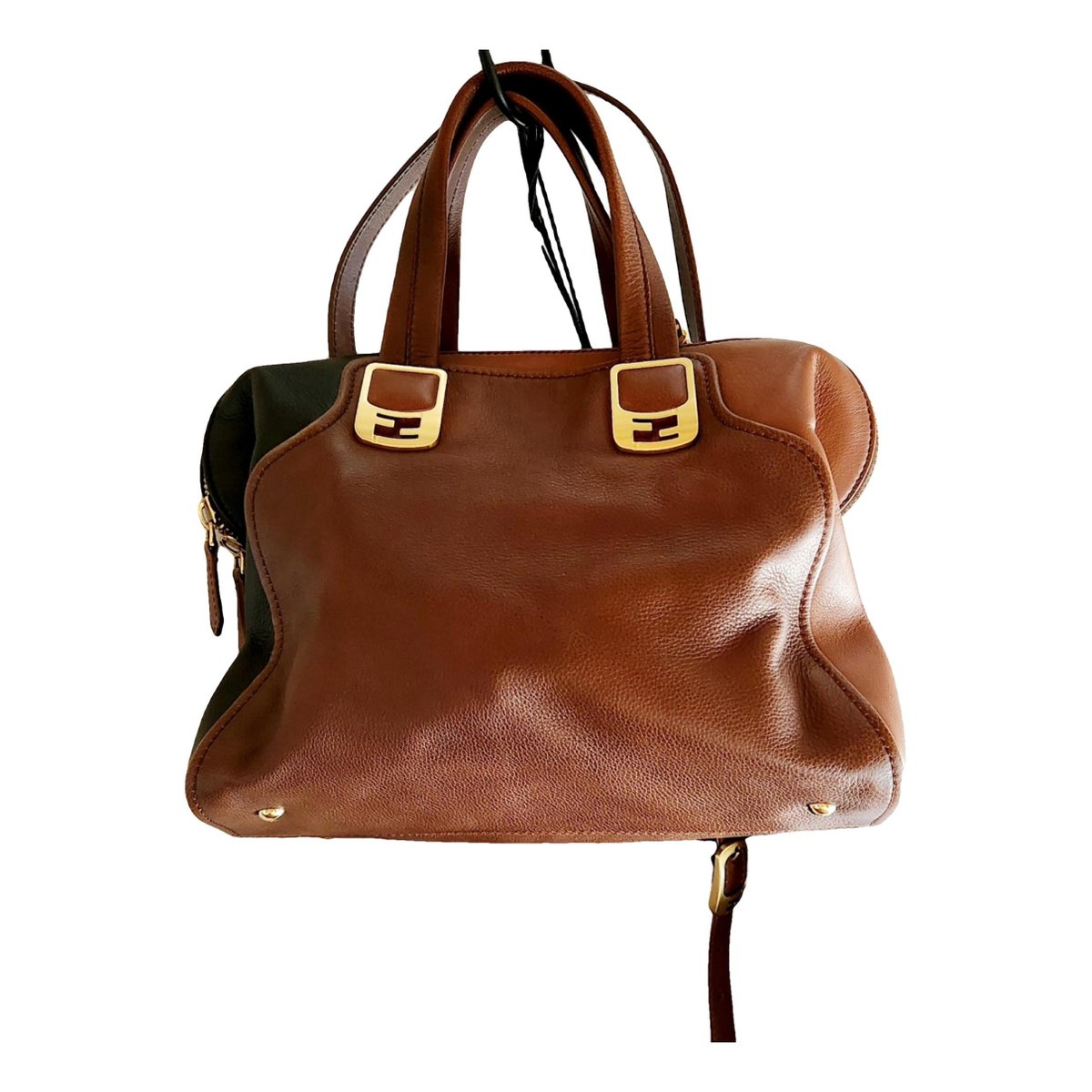 Chameleon leather handbag