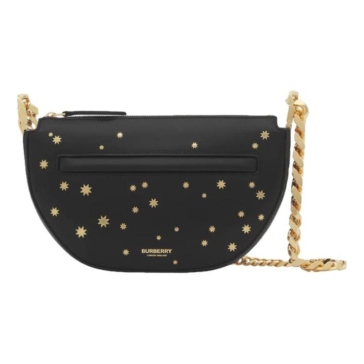 Olympia Chain leather handbag