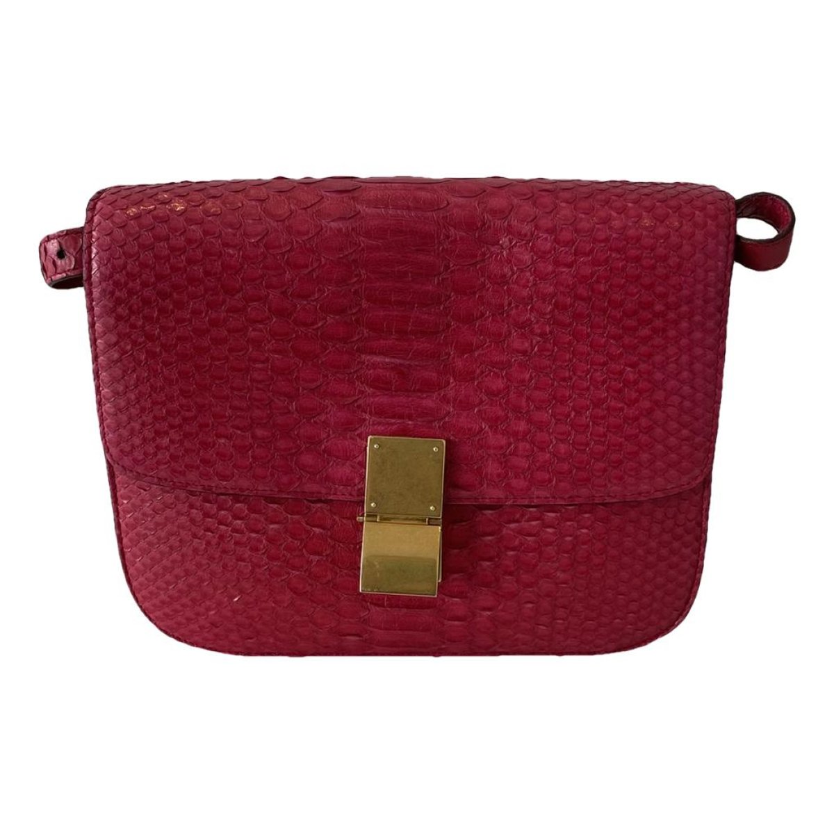 Classic python crossbody bag