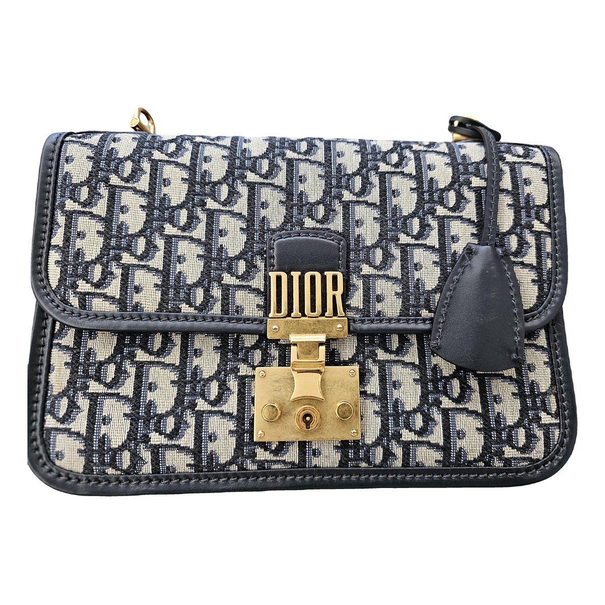 DiorAddict cloth handbag