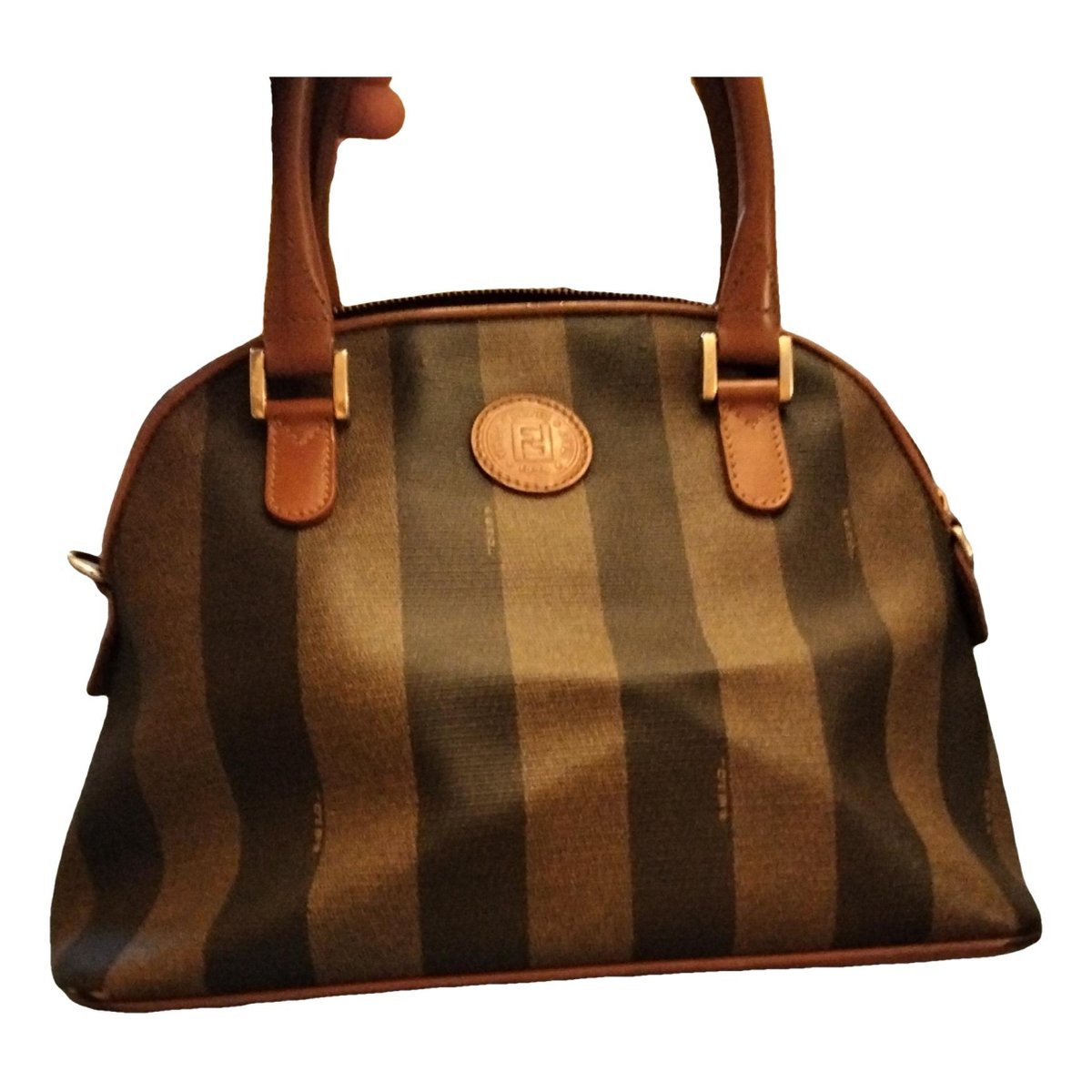 Chameleon leather handbag