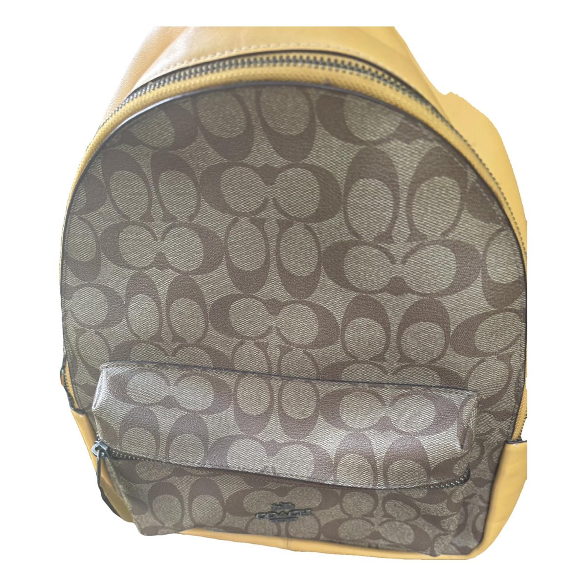 Campus leather backpack
