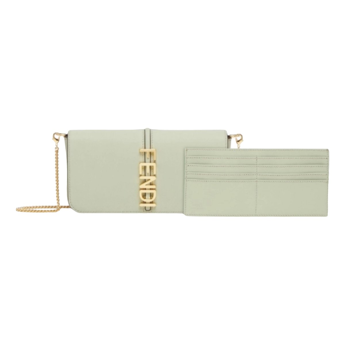 Fendigraphy leather handbag