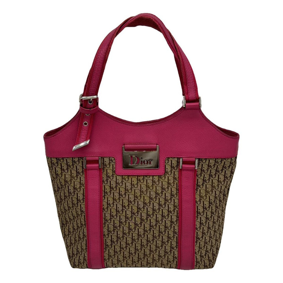 Street Chic Hobo handbag