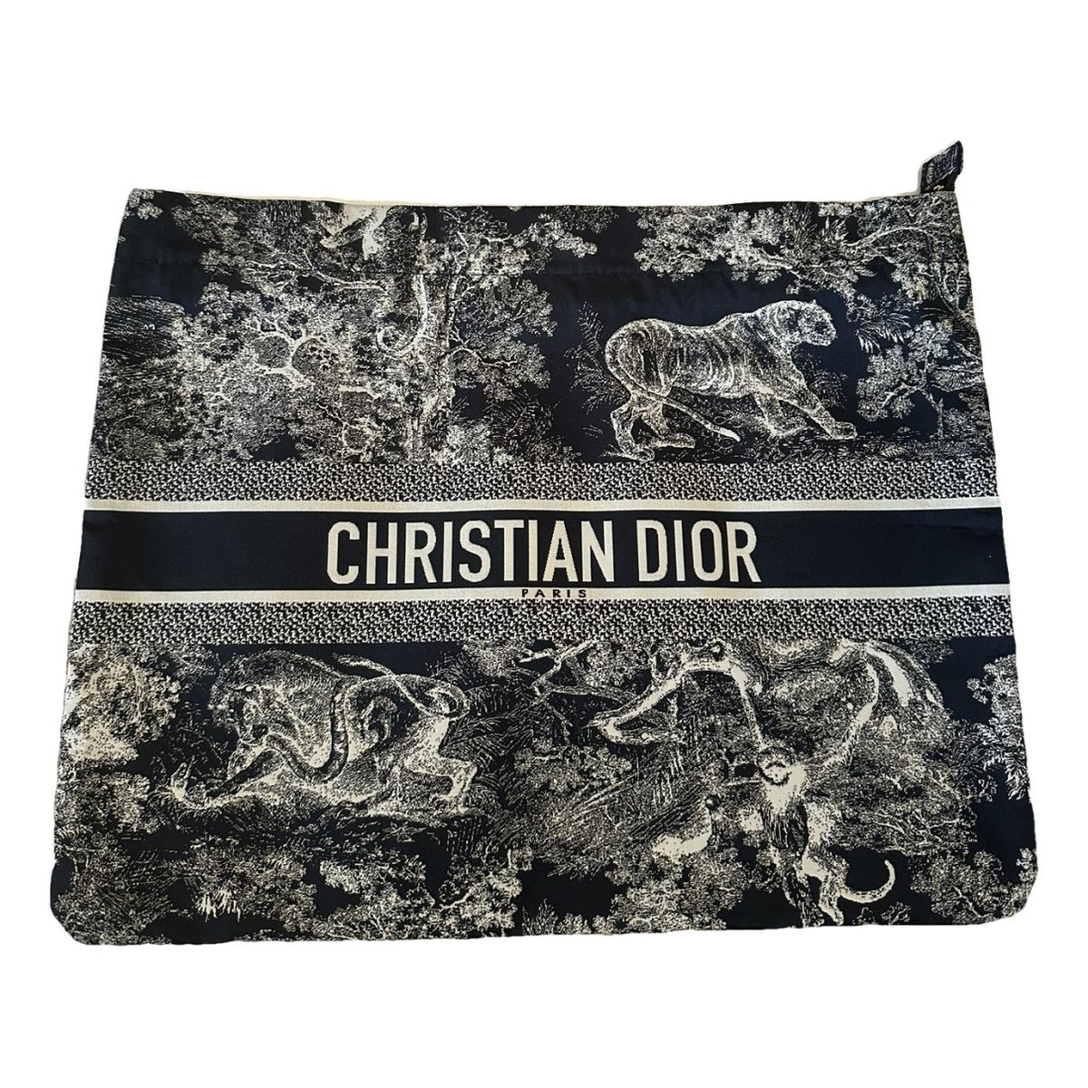 DiorTravel vanity case