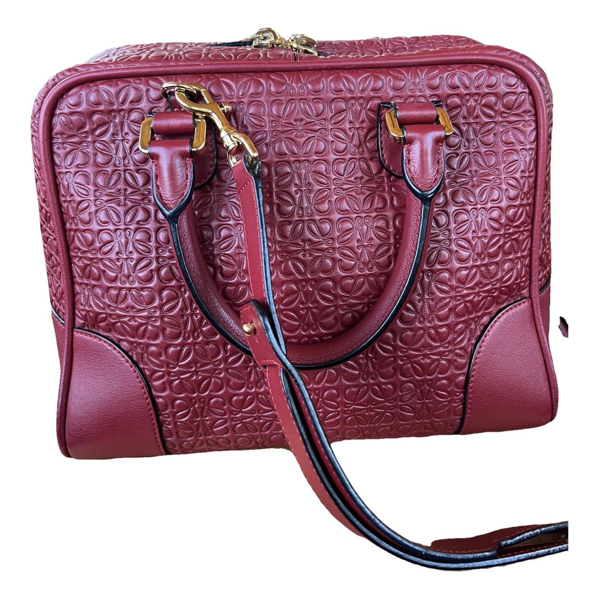 Amazona 75 leather handbag