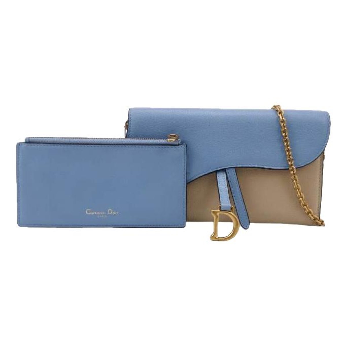 Saddle Wallet On Chain leather crossbody bag