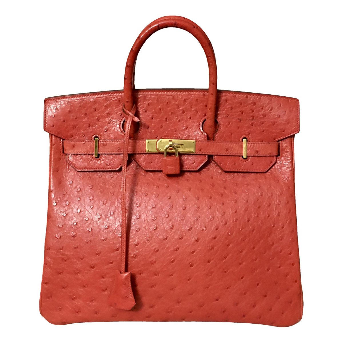 Haut à Courroies ostrich handbag