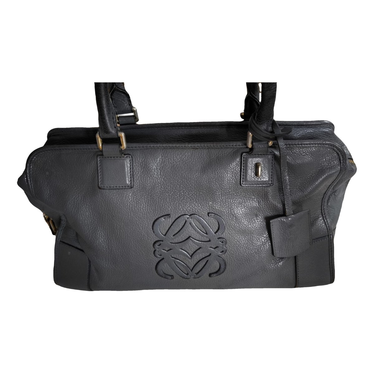 Amazona leather handbag