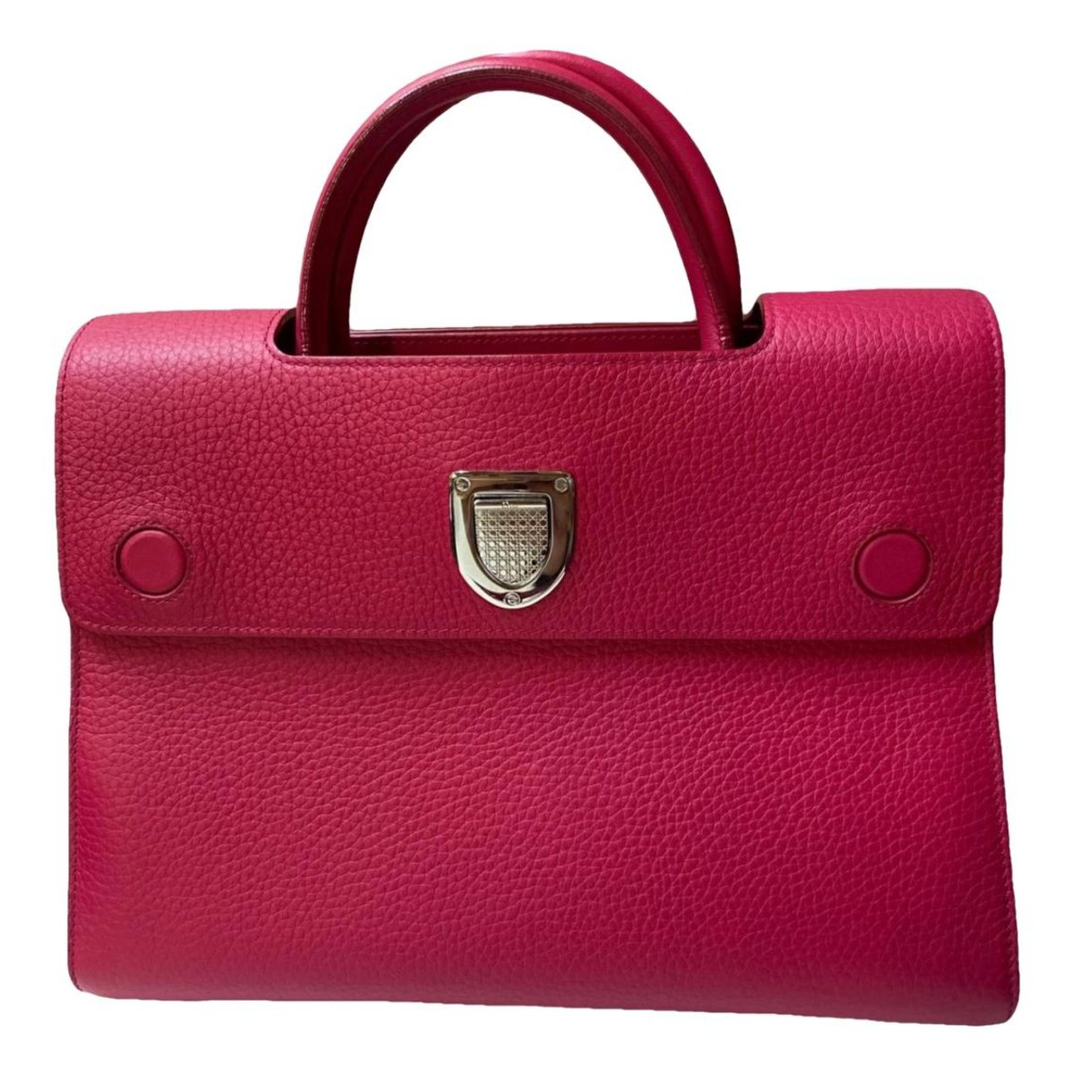 Diorever leather handbag