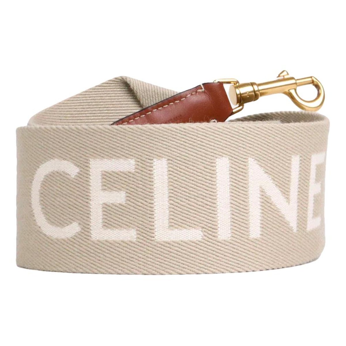Triomphe leather crossbody bag