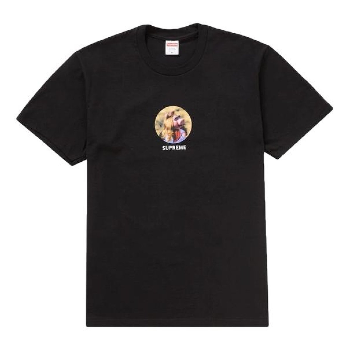 Box Logo t-shirt